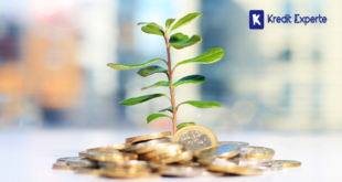 Finanzielle Vorsätze für 2025